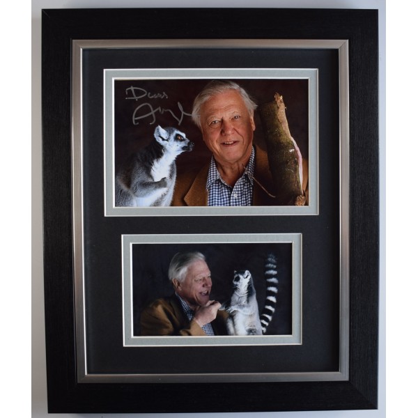 Sir David Attenborough Signed Mounted Photo Display #2 Autographed Gift Picture Print 