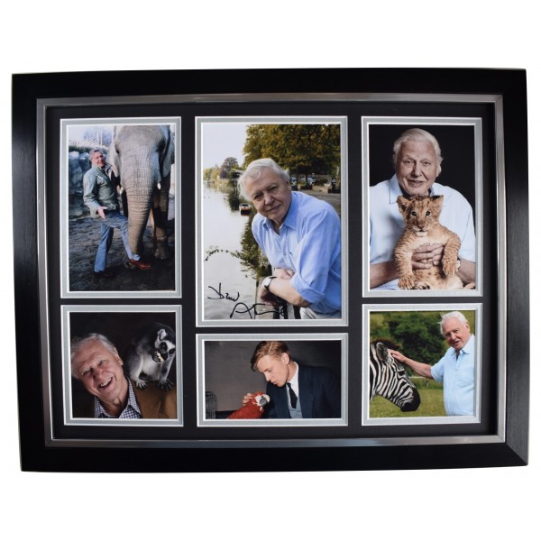 David Attenborough Signed Autograph framed 16x12 photo display Climate Change AFTAL Perfect Gift Memorabilia	