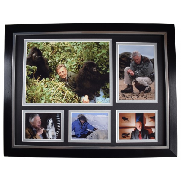 David Attenborough Signed Autograph framed 16x12 photo display Climate Change AFTAL Perfect Gift Memorabilia	