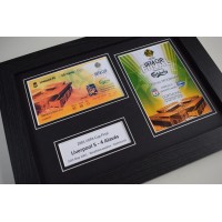 2001 UEFA Cup Final Liverpool LFC A4 Photo Programme & Ticket Display Framed Perfect Gift
