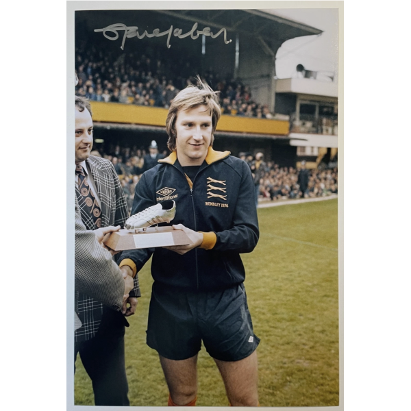 Steve Daley Signed Autograph Signature 12x8 Photo Wolves Football COA Steve Daley Signed Autograph Signature 12x8 Photo Wolves Football COA