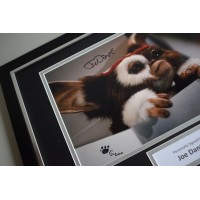 Joe Dante SIGNED FRAMED Photo Autograph 16x12 display Gremlins Film  AFTAL & COA Memorabilia PERFECT GIFT