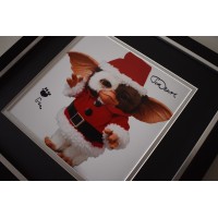 Joe Dante SIGNED Framed LARGE Square Photo Autograph display Gremlins  AFTAL &  COA Memorabilia PERFECT GIFT 