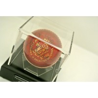 Brad Haddin Signed Autograph Cricket Ball Display Case Australia Ashes & COA       PERFECT GIFT 